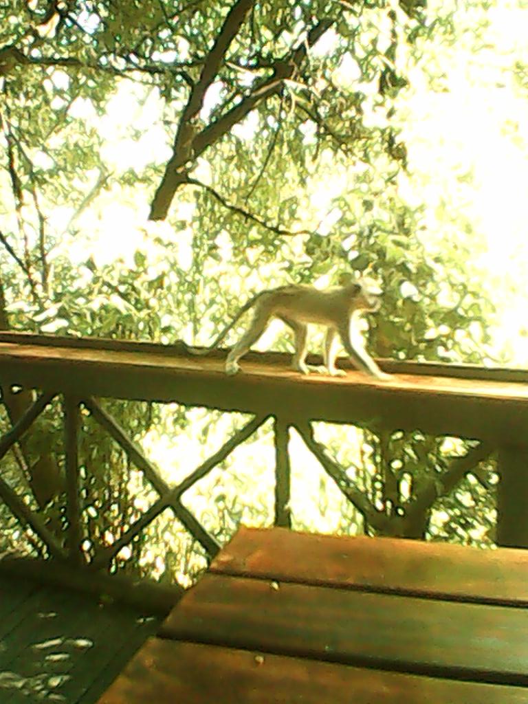 CChunda's tweet image. Adventure continues