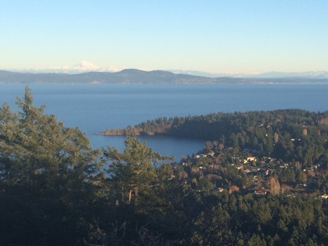 gleinzer's tweet image. Apres @Seahawks win, went for a quick run under a setting sun #yyj #yyjrun #trainracebeer
strava.com/activities/467…