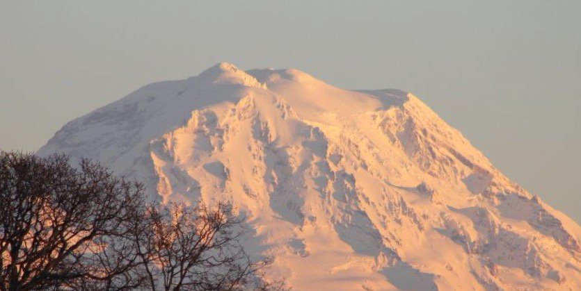 dianelewis48's tweet photo. What a spectacular Sunday. The #Seahawks won and Mt. Rainier loomed brilliantly! https://t.co/LvCX1Oe4vY