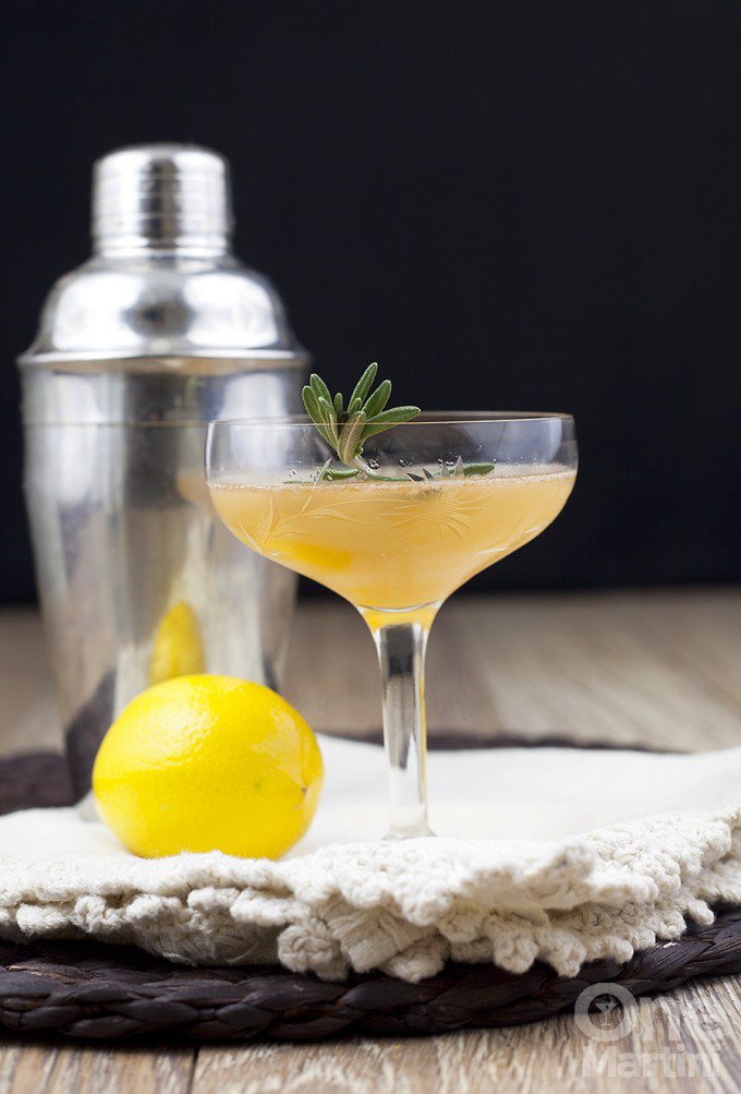 Four Winds {a mezcal meyer lemon cocktail} onemartini.com/mezcal-meyer-l…