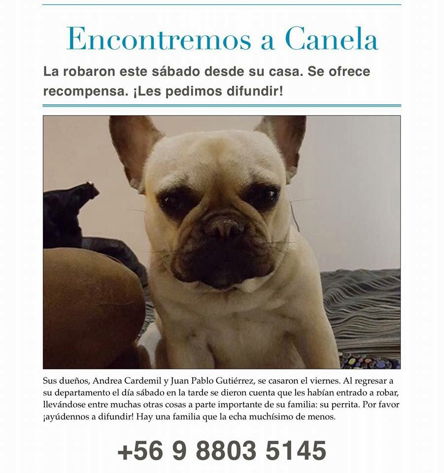 MarcelaCardemil's tweet photo. Favor difundir!! Acá está toda la info #encontremosacanela https://t.co/j95VOiQ89B