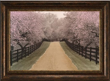 ON SALE!!!!!!!!
Regular - $259
****Sale - $195****