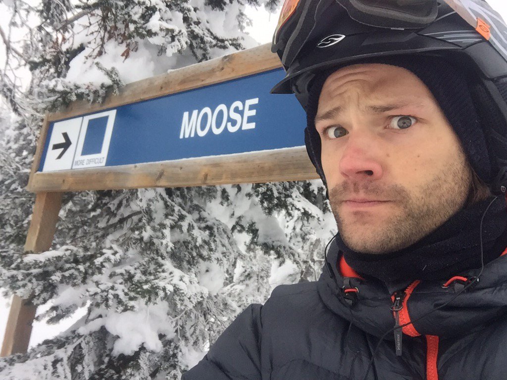 How did they know?!?!  @SkiWhitefish    #moosekateer #whitefish