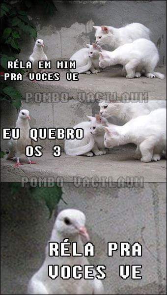 cleytu's tweet photo. réla pra vcs ve https://t.co/6KmPc4Tgkx