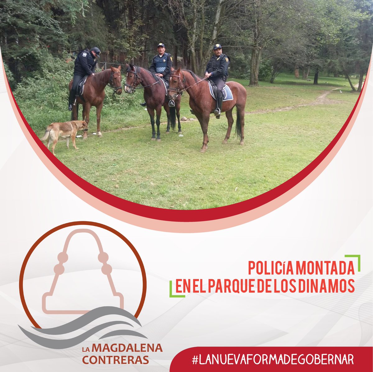 ContXDelante's tweet image. #MeSientoBienCuando sé que La Magdalena Contreras ya cuenta con policía montada en Los Dinamos. #FelizDomingo