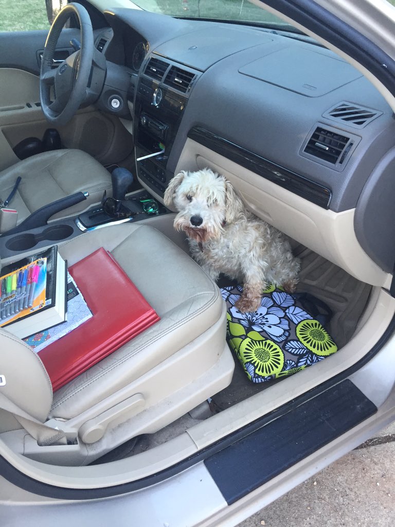 Back to ttown I go...Jewels knew I was leaving too