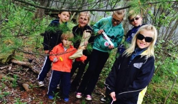 Embedded image permalink