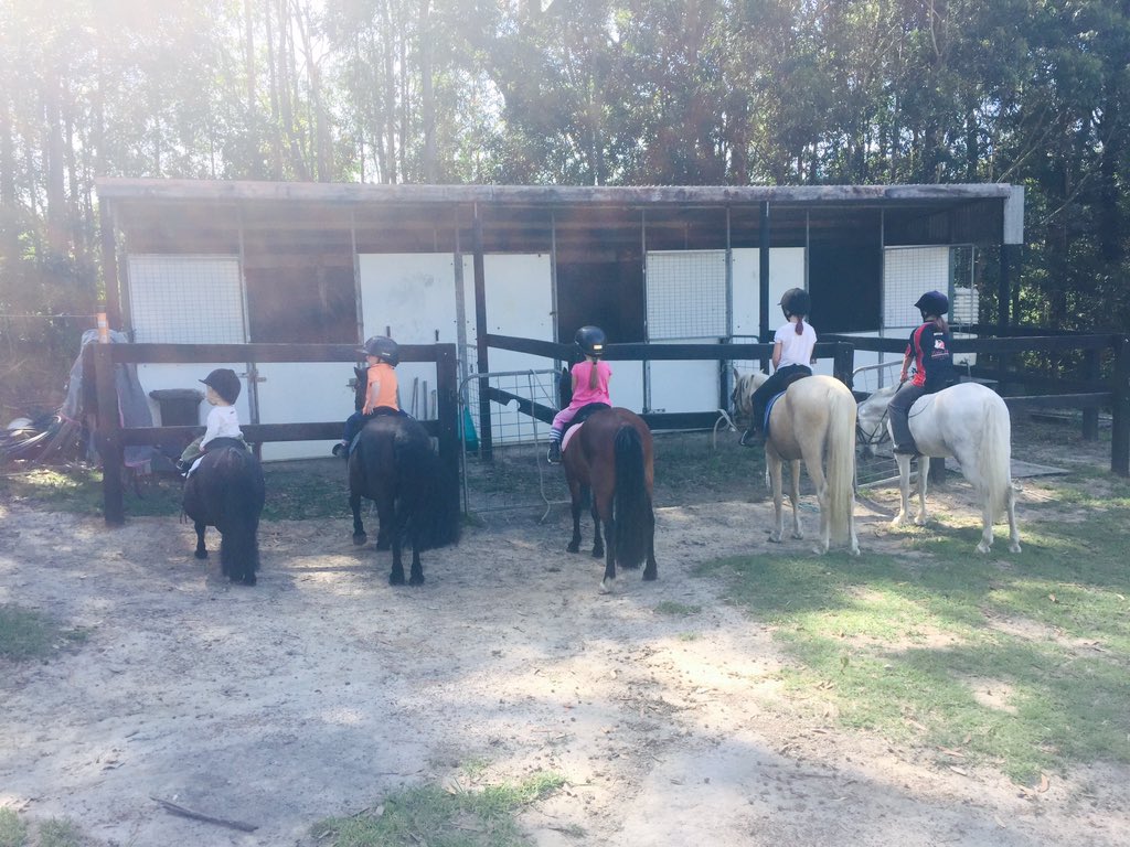 deanlwalsh7's tweet photo. Surely we have a #futurejock amongst this lot #ridetime #cousins #ponyseverywhere @shelley_walsh https://t.co/p3mQ1kB3VV