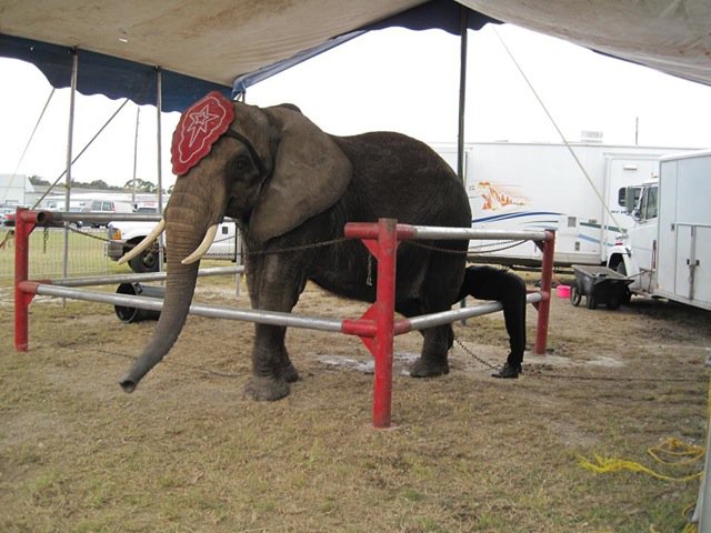 Terri Mitchell (@storm4nosey) on Twitter photo 
