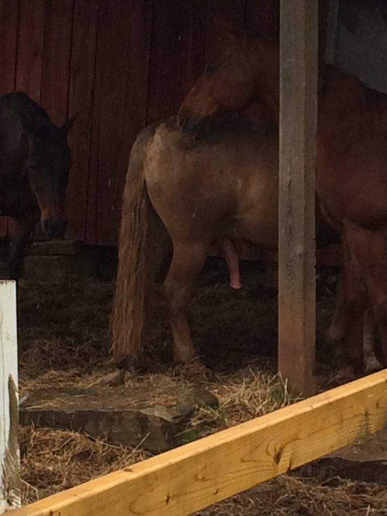 NickNickmurray4's tweet image. #busboner