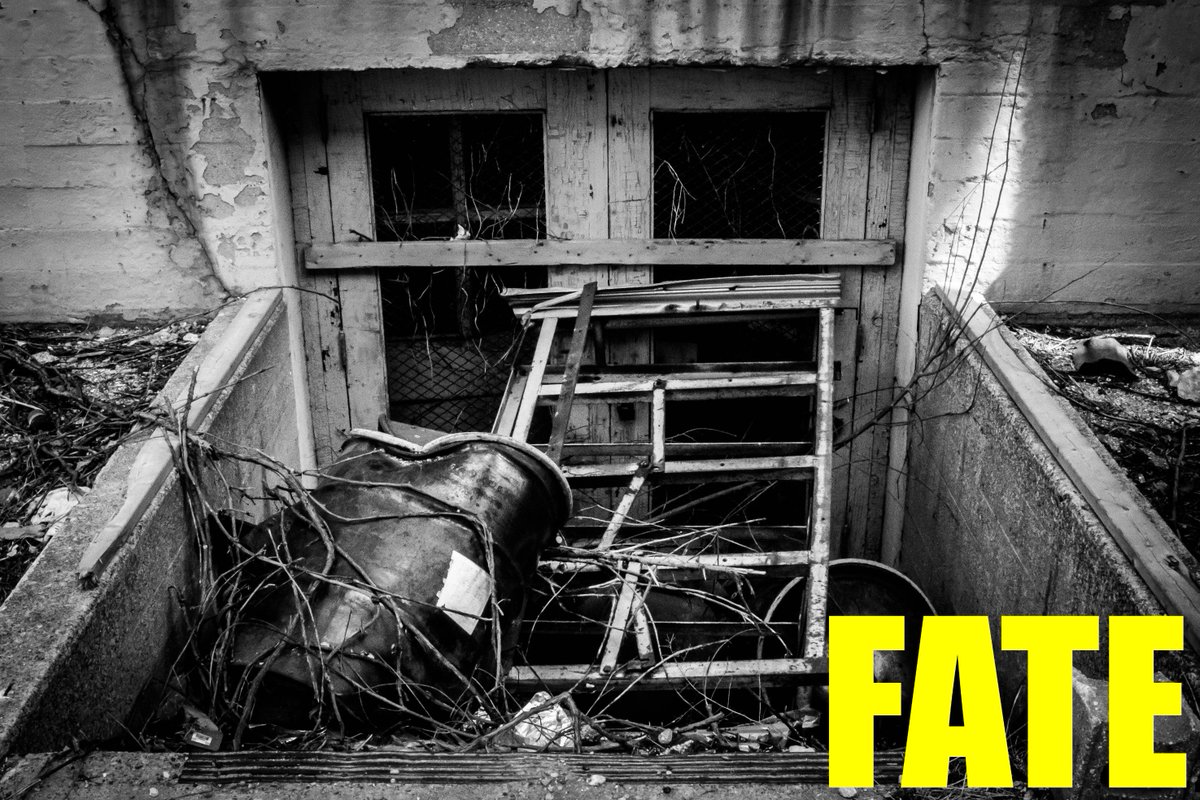 Atrophy2entropY's tweet photo. #fromatrophytoentropy #thewayisshut #FATE https://t.co/Xg7CFMDnzl