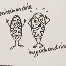 MIGHTochondria1's tweet photo. Very important to distinguish the two! #cellection16c https://t.co/3NzEXeCbnP