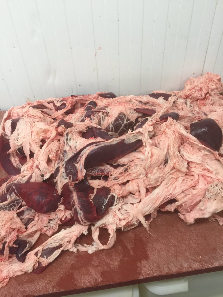 Look what job I have got to do today , any idea what it is