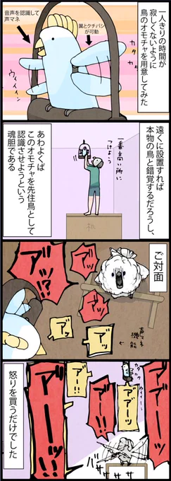 オウムが来た時の４コマです。
オウムを自宅に招く前は他の鳥がいた方が寂しくないだろうと思っていました。
そう思ってぬいぐるみを置いたら激オコされました。
話し相手がいた方が良いと思ってファービーを置いたら殺意の波動に目覚めました。 