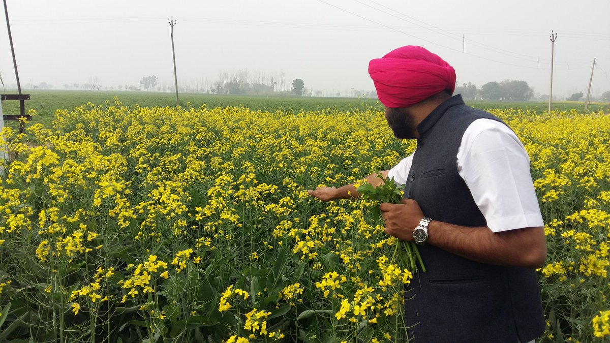 #PunjabGrillInPunjab