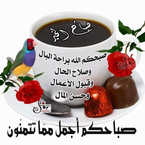 SamihaMaras's tweet photo. صباح لخير https://t.co/qcoRZ8kEGR