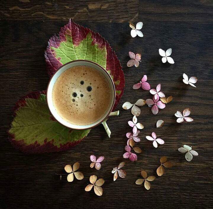 PResourse's tweet photo. Gunaydin,Hayırlı Günler @Kralice_Hanim @Sevimli_Kadin @Sevimli_Sekerim ☕️🌷🌸 https://t.co/QbH87otsX6