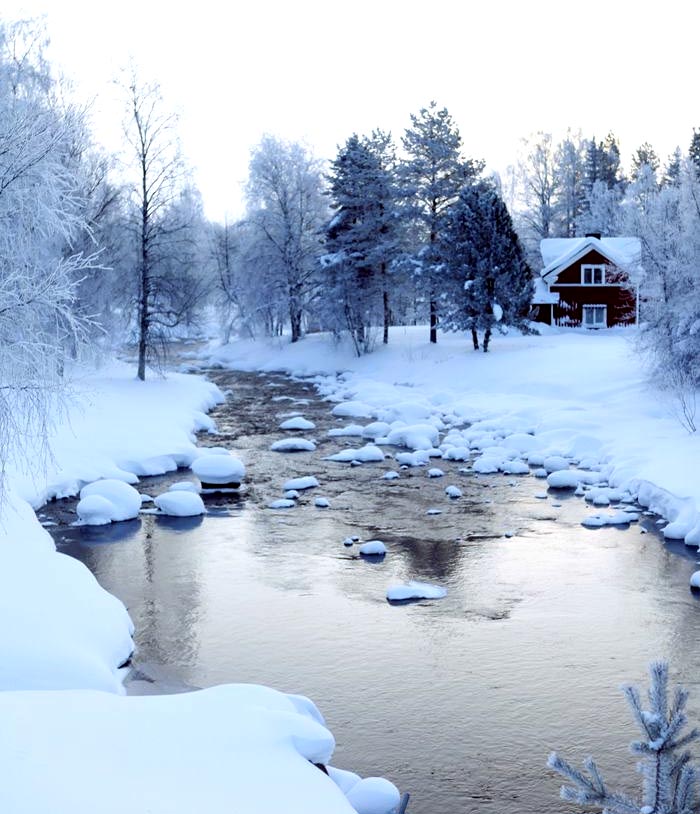 Maurizio Principato tweet media