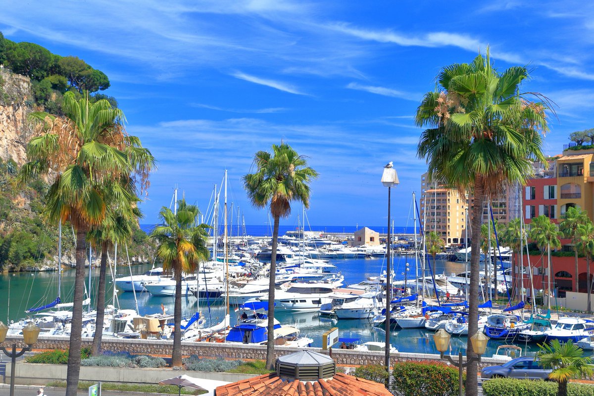 tripashore's tweet photo. Good Morning and Happy Monday from Monte Carlo https://t.co/QB5FHlWSf0