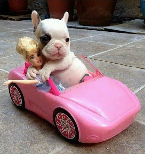 Pretty fly for a white guy 😎