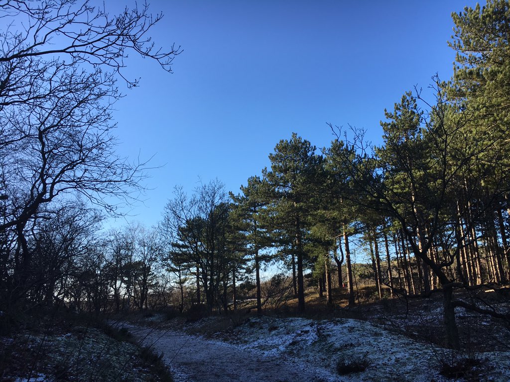 tiddo's tweet photo. #Schoorl #schoorlseduinen #dunes #Holland #nature #hiking #wandelen #genieten #winter #duinen #dutch #BlueSkies https://t.co/TwkTxoeAtx