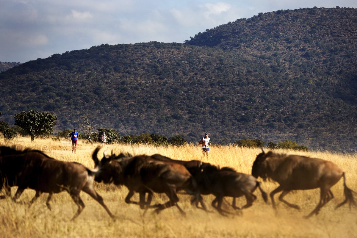 GlobalMarathons's tweet photo. Don't let #BlueMonday get to you. Beat the blues and sign up for #bigfivemarathon https://t.co/0Az5smRmIg https://t.co/pjboTxVYpE