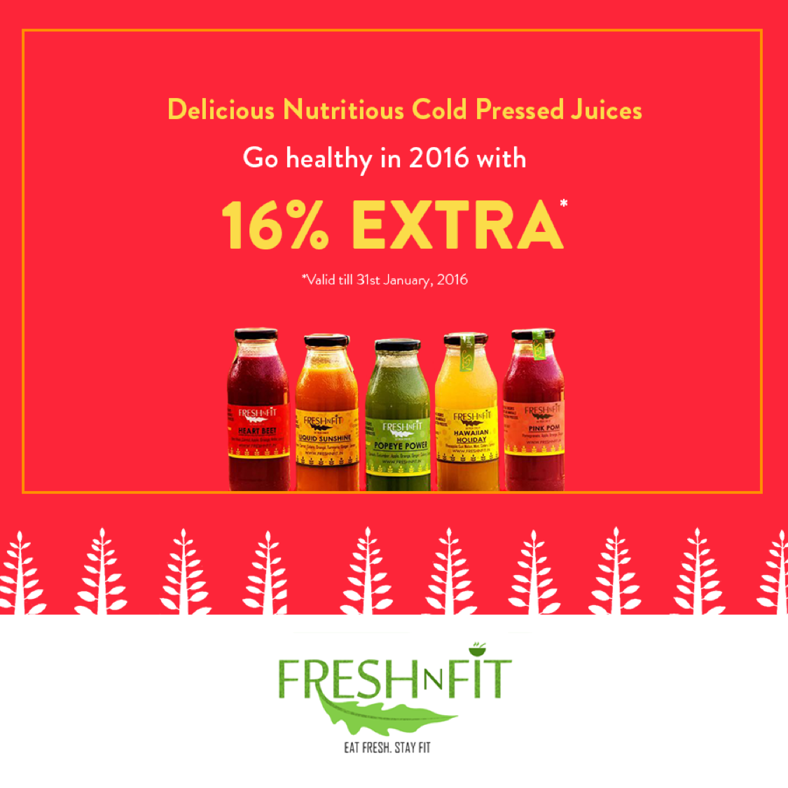 freshnfit_in's tweet photo. Our #Coldpressed #juices are available on @mybiteclub. Offer valid till 31st Jan, order yours today! https://t.co/jjLRzvjFxE