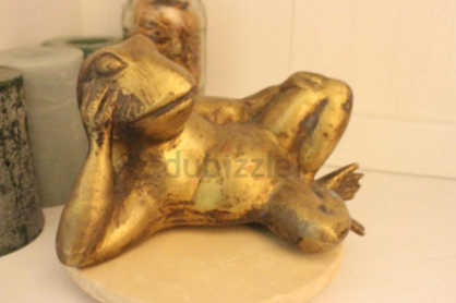 BinduRai's tweet image. We looked before we leaped at the sight of the humble price Dh3,672,950 #FrogHumor #Ribbit @dubizzle #PrinceCharming