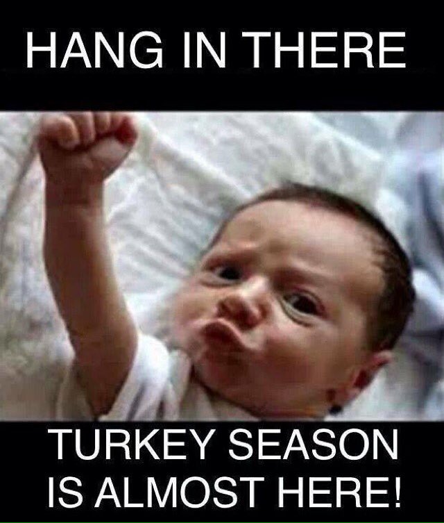 wbburt51's tweet photo. Just 62 days! @BeavrCreekCalls @wildpursuits @ZinkCallsAvianX @Turkey_Hunting https://t.co/DHenxMMyFM