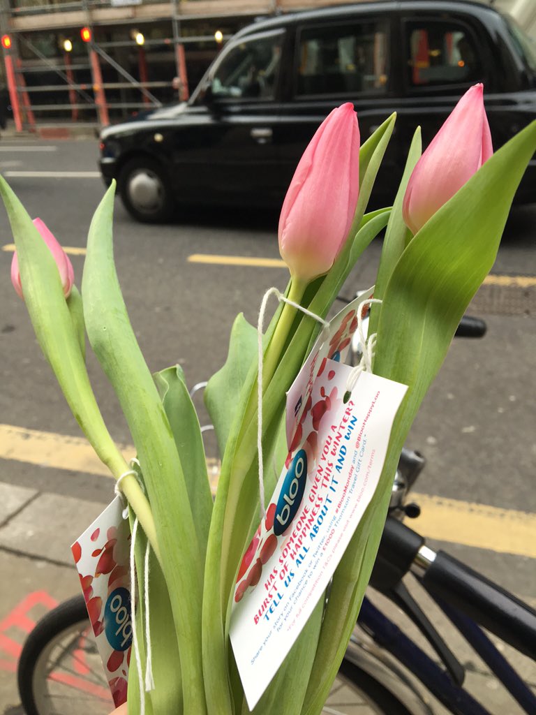 Tulips from #bloo to brighten up #bloomondays :)