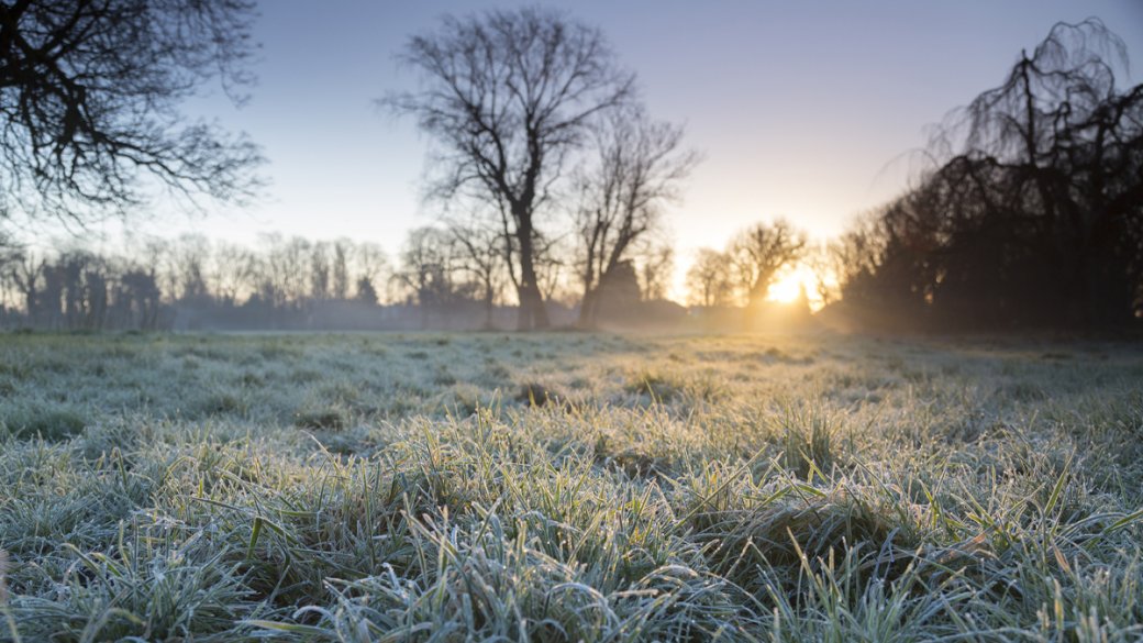 flintagency's tweet photo. Frosty walk in Norfolk to start a busy week of email campaign designs for our clients #lovenorfolk #graphicdesign https://t.co/PG7BiYFw9e