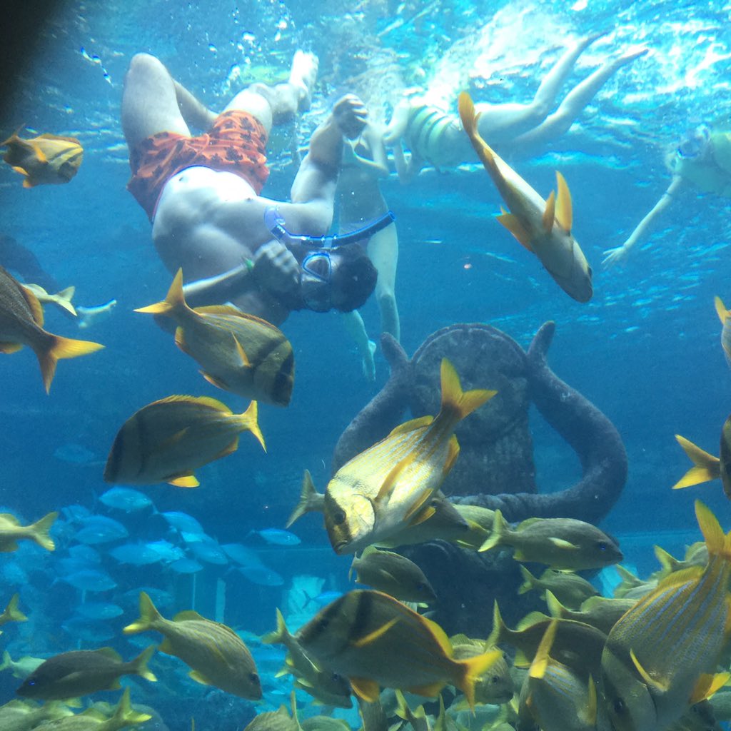 DanBilzerian's tweet photo. Plenty of fish in the sea https://t.co/W0eBWNJyMj
