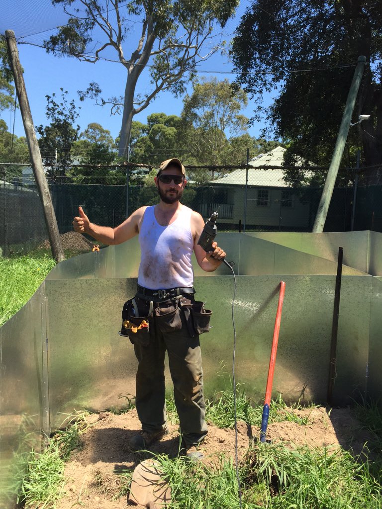 lizard_lab's tweet image. @JamesBG_27 is a legend! New water dragon facility almost built! #lizard #waterdragon #lizardlab