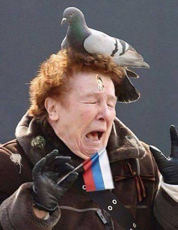 theCHIVE's tweet photo. If Mondays were an animal. https://t.co/QXGujUxWV8