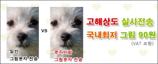 고해상도 실사전송. 선거문자는 "문자바람"