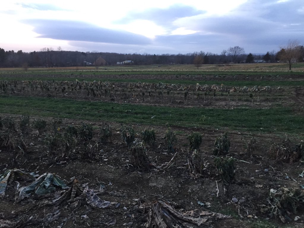 SylviasTable's tweet photo. Winter arrives at @KatchkieFarm https://t.co/ZDLQNvWALE