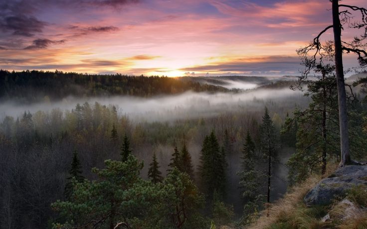 AgrasDistillery's tweet photo. Our goal to fill our #distillery with the spirit of nature. #Fiskars #funding #craftdistill… https://t.co/YMqCUW9p62 https://t.co/OAZEvNDC4a