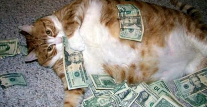 HitFuse's tweet image. LABELS: This could be you, but you haven't started using us yet. #recordlabel #demos #music #hitfuse #submission