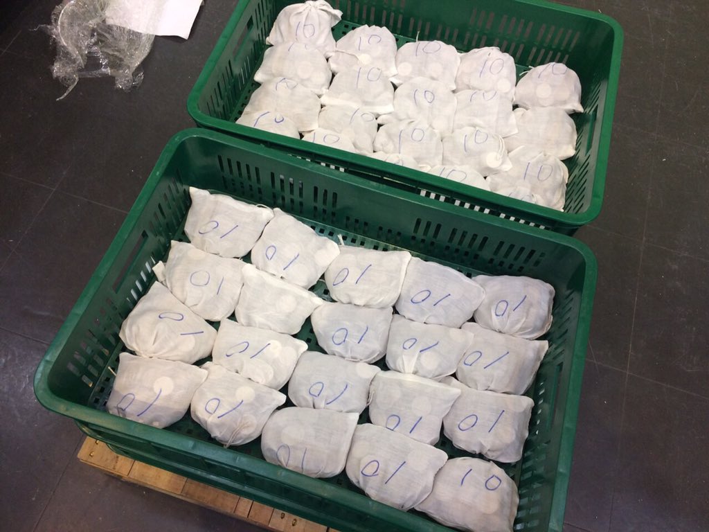 Uncategorized Archives | Page 106 of 869 | Virginia Living, image size:1024x768