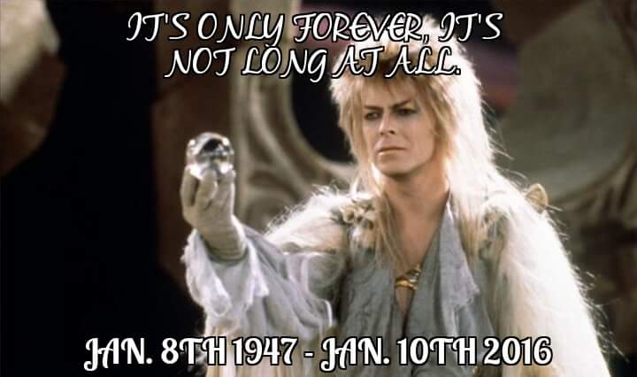 lydia_arblaster's tweet photo. I wanna say he was a great man and will never be forgotten @DavidBowieReal RIP https://t.co/onXG2HJMBH