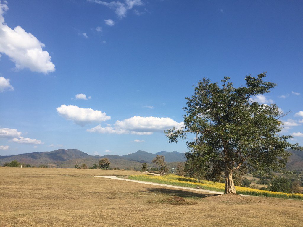 SFDropouts's tweet photo. Three Days in Panoramic Pai #travel #digitalnomad #thailand https://t.co/3pK6ohHLma https://t.co/f8SZKlwOd3