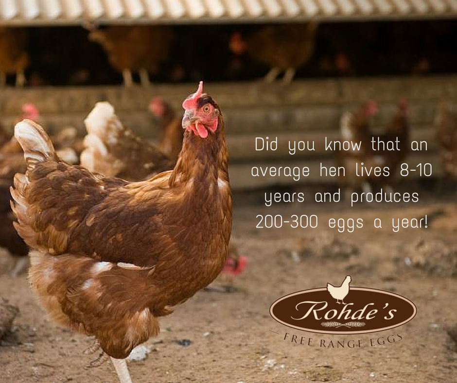 RohdesFreeRange's tweet photo. Did you know...? https://t.co/EPYhZOhcTA