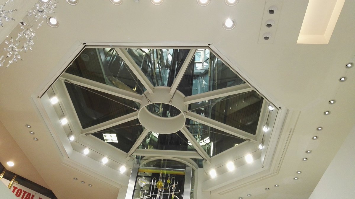 Mimi Abellan Trilla tweet media