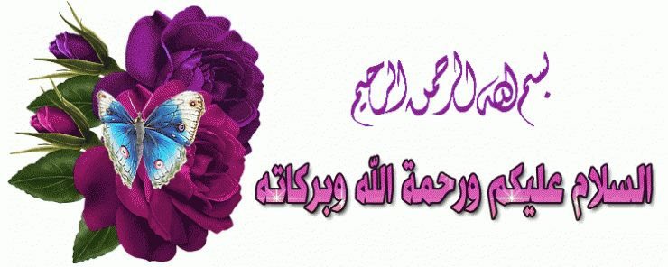 السلام عليكم ورحمة الله وبركاته