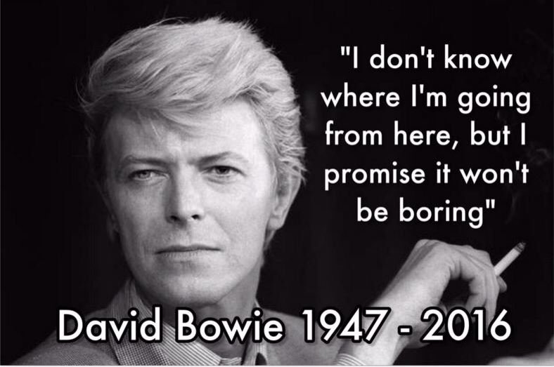 _lizziewoods's tweet photo. Words to live by. Such a great loss of life, RIP Bowie! #DavidBowie #promiseitwontbeboring https://t.co/RKo5561UMq
