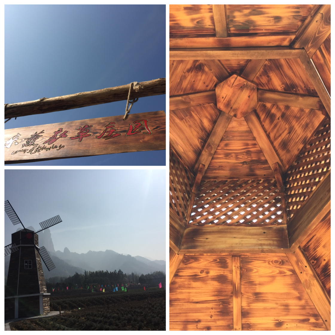 kingsofthz's tweet image. Hello