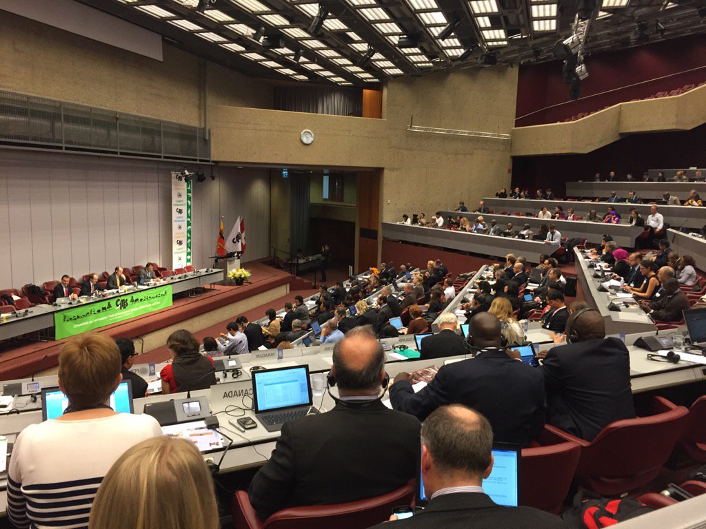 BradneeChambers's tweet photo. @CITES Standing Com opens to record breaking attendance! Chair highlights achievements including 2 GA Resolutions https://t.co/SQ3vnycceR