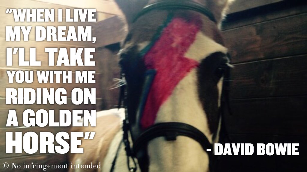 HorseHour's tweet photo. For equestrian David Bowie fans, this seemed poignant... https://t.co/HlPaOHhx4Y