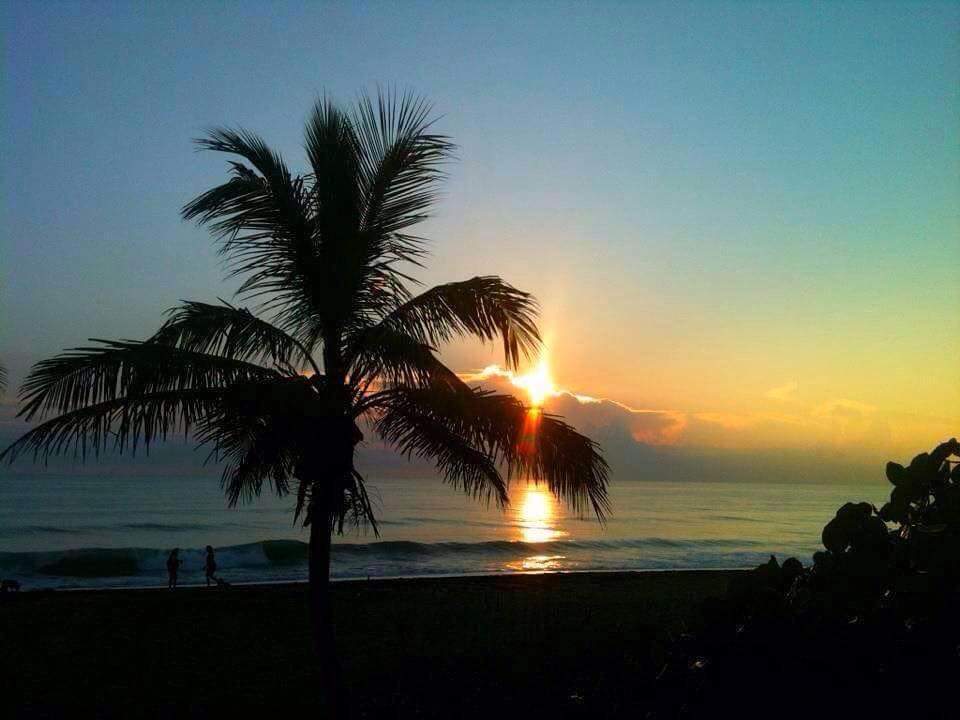 WayneLNoel's tweet photo. #ILostMy beach day to the cold weather here in South Florida. https://t.co/YHbGiTy0sZ