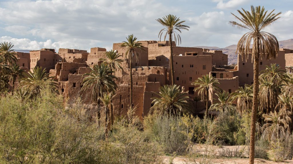 21 januari – Lezing ‘Marokko een onvergetelijk vogelfestijn’ bibtieltwinge.wordpress.com/2016/01/11/21-…